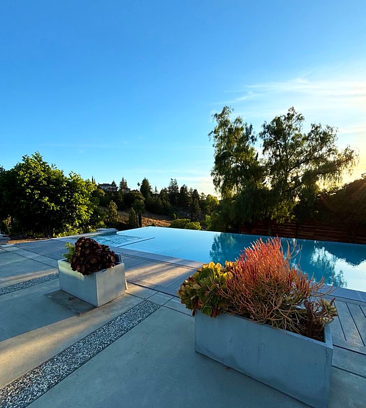 Pool edge meeting the treeline, with succulent planters on the deck